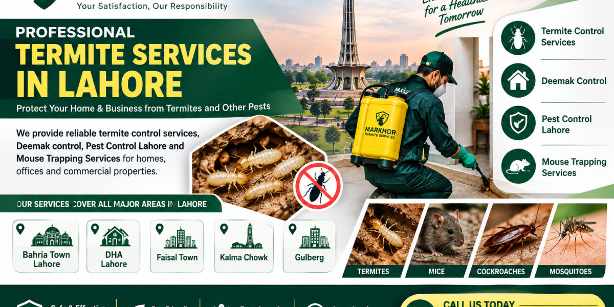 Professional Termite Services in Lahore for Homes and Businesses